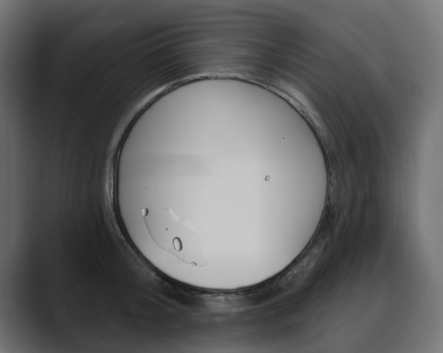 X0000089900804200706281134