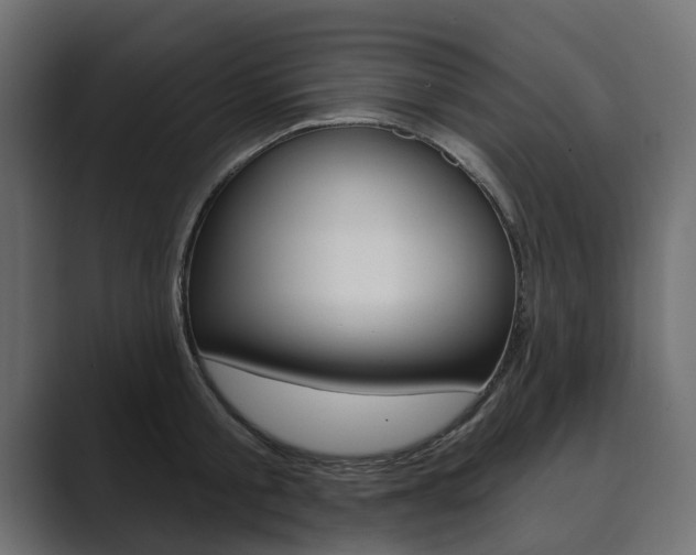 X0000089900805200706281134
