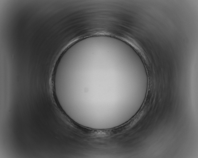 X0000089900806200706281134