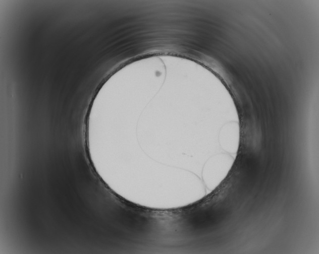 X0000089900807200706281134