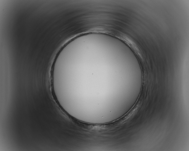 X0000089900808200706281134