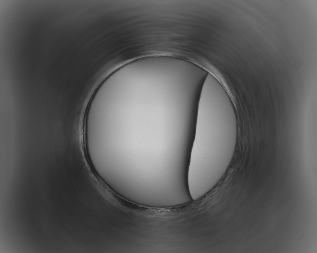 X0000089900811200706281134