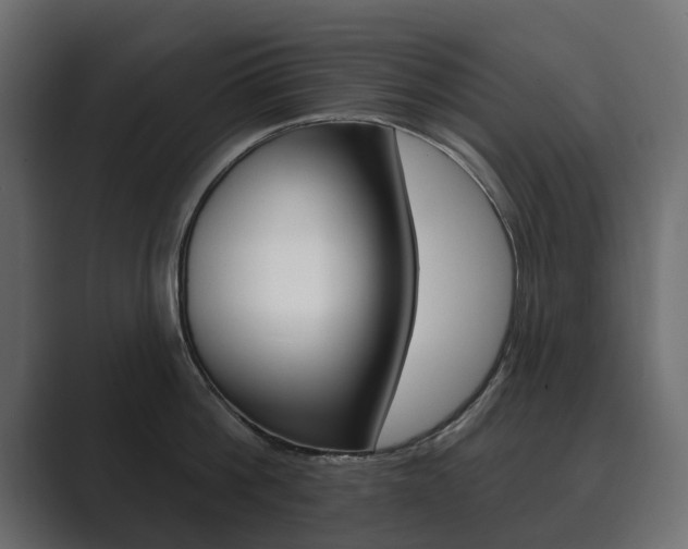 X0000089900812200706281134