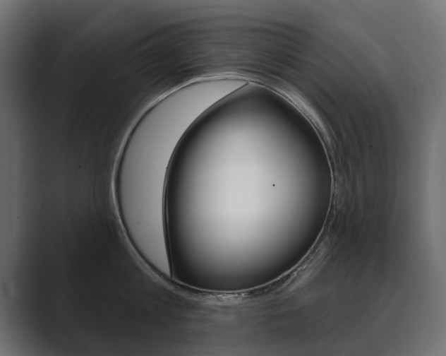 X0000089900813200706281134