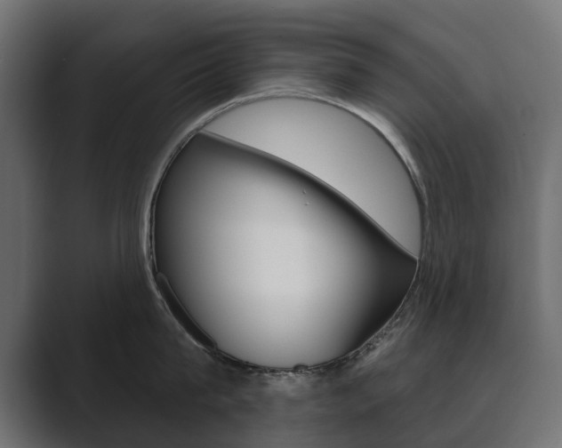 X0000089900815200706281134