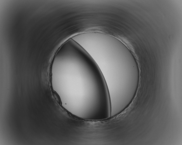 X0000089900816200706281134
