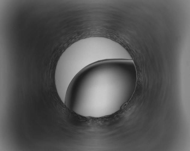 X0000089900818200706281133