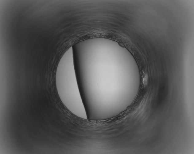 X0000089900819200706281133