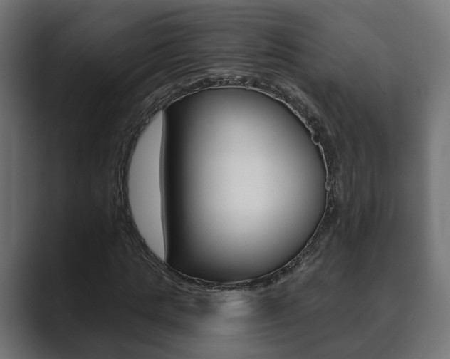 X0000089900821200706281133