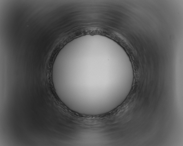 X0000089900823200706281133