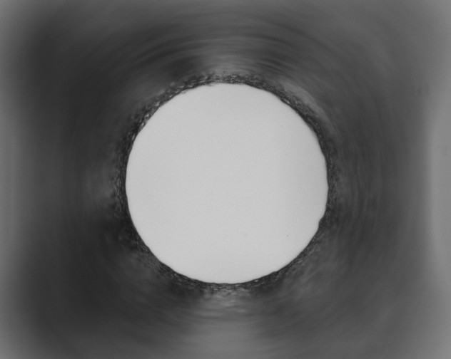X0000089900824200706281133