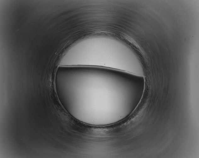 X0000089900825200706281133
