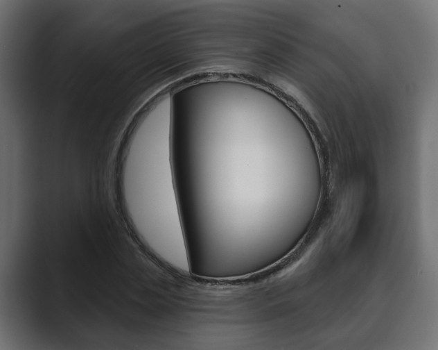 X0000089900829200706281133