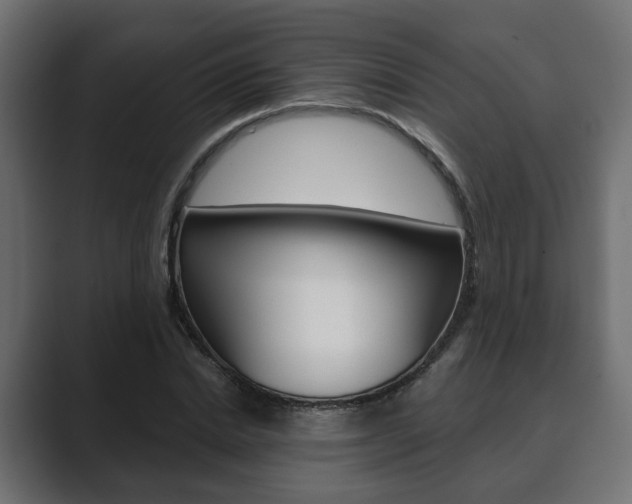 X0000089900830200706281133