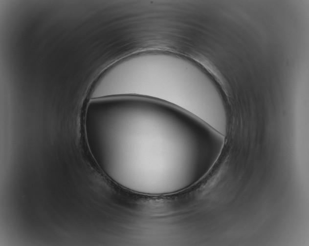 X0000089900834200706281133
