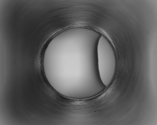 X0000089900835200706281133