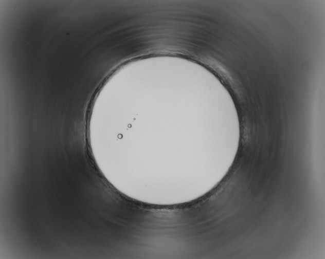 X0000089900836200706281133