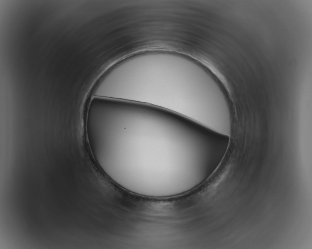 X0000089900837200706281133