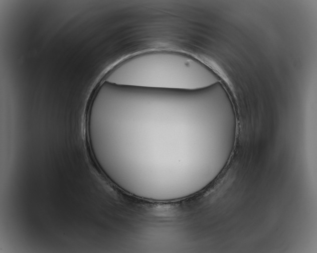 X0000089900839200706281133