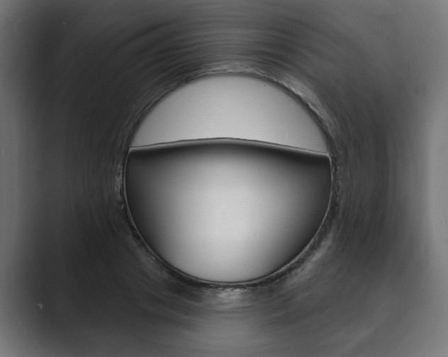 X0000089900841200706281133