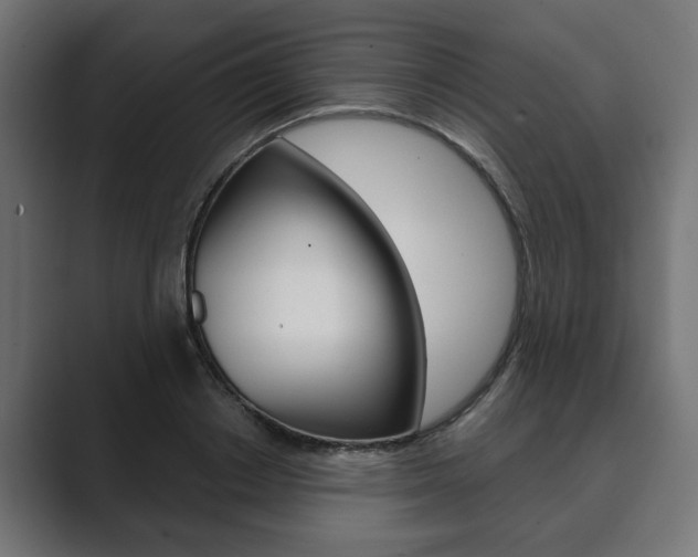 X0000089900842200706281133