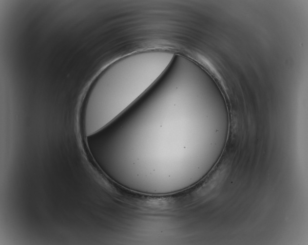 X0000089900843200706281133