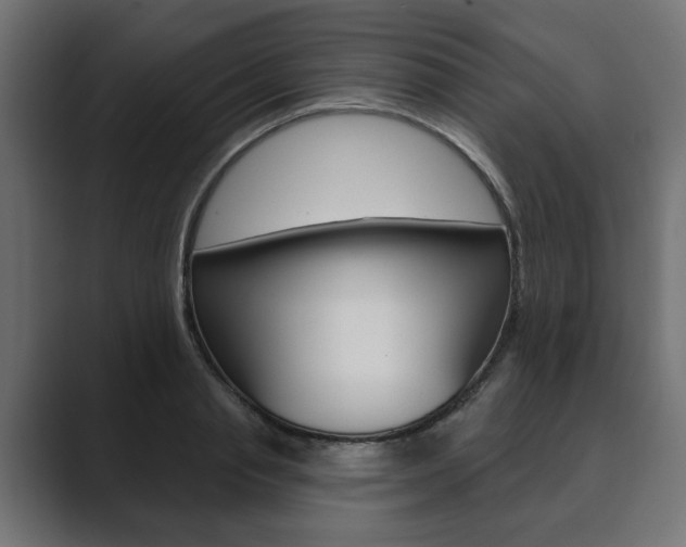 X0000089900845200706281133