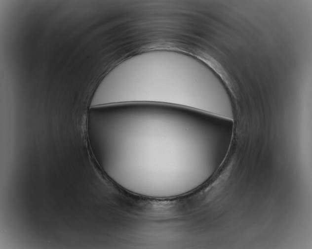 X0000089900849200706281133