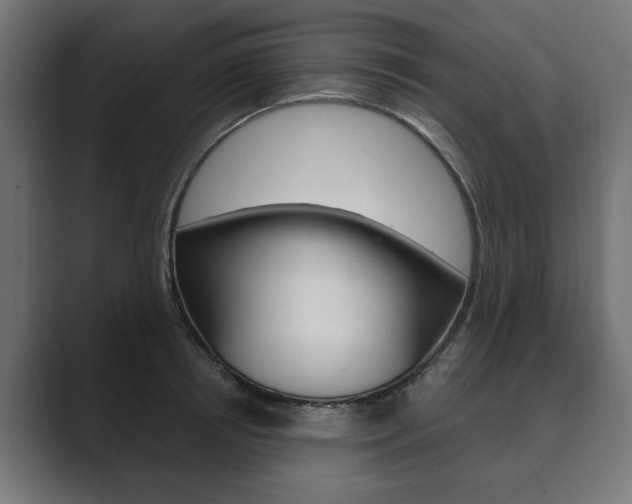 X0000089900850200706281133