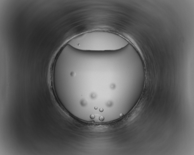 X0000089900851200706281133