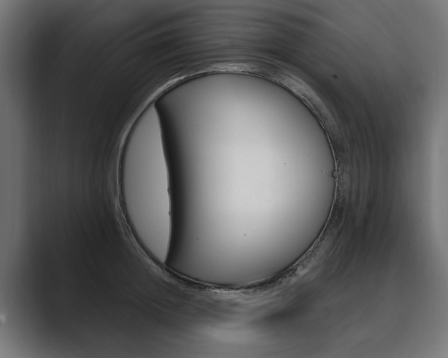 X0000089900852200706281133