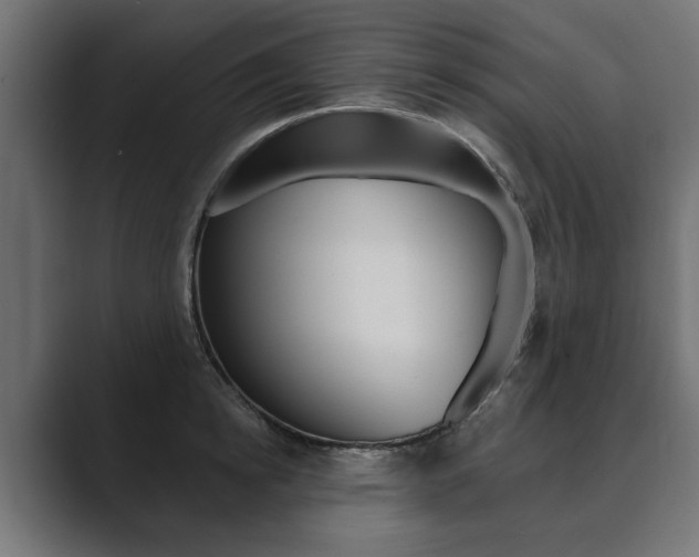 X0000089900854200706281133