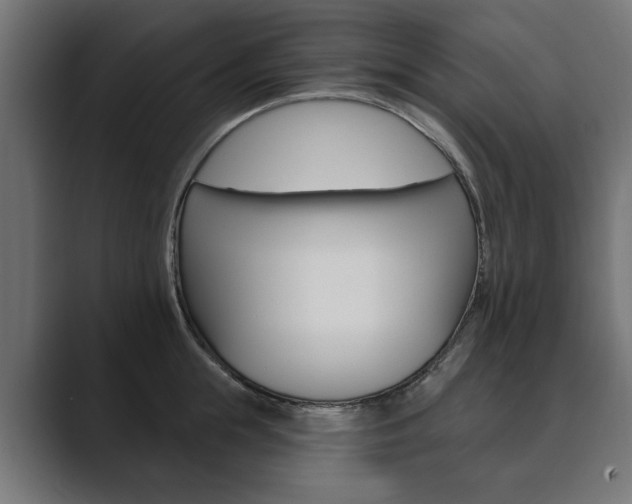 X0000089900855200706281133