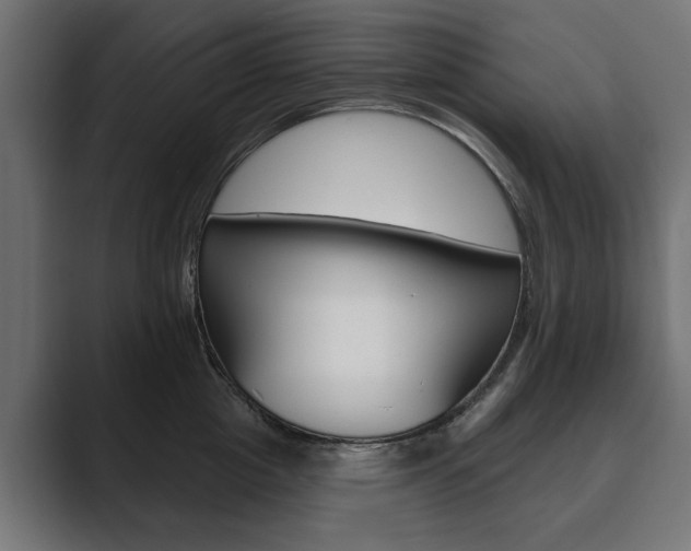 X0000089900857200706281133