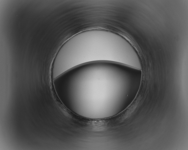 X0000089900858200706281134