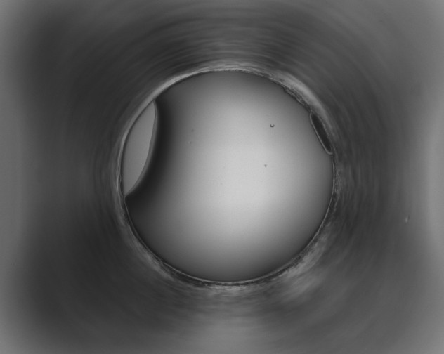 X0000089900860200706281134