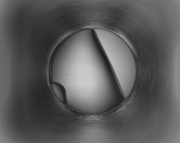 X0000089900861200706281134