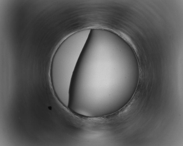 X0000089900863200706281134