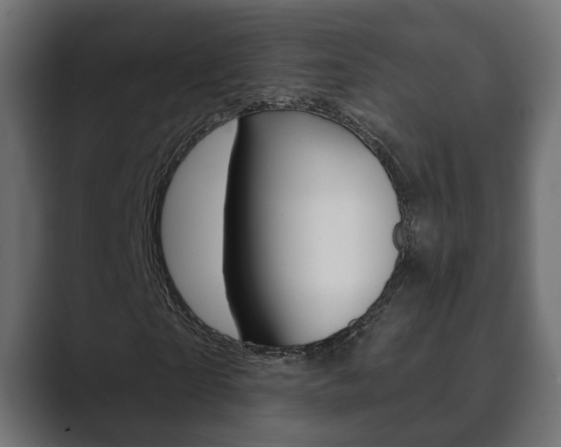 X0000089900865200706281133