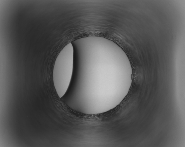 X0000089900866200706281133