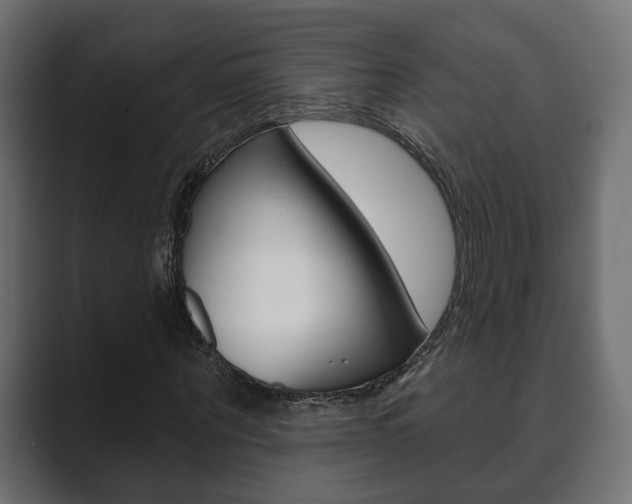 X0000089900867200706281133