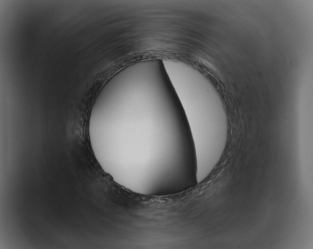 X0000089900869200706281133