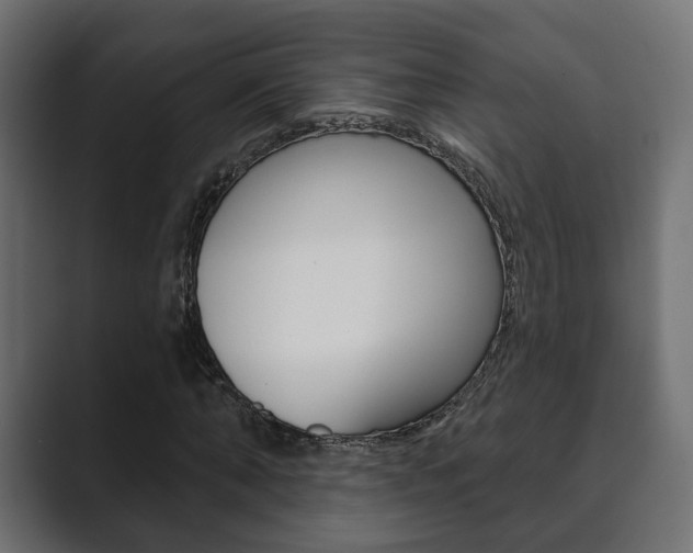 X0000089900870200706281133