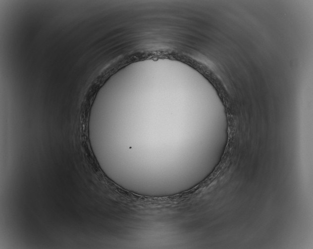 X0000089900871200706281133