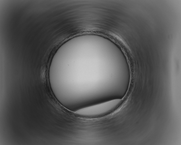 X0000089900873200706281133