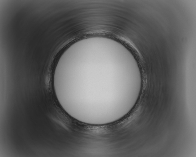 X0000089900874200706281133