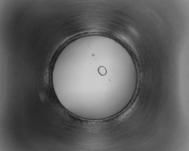 X0000089900875200706281133