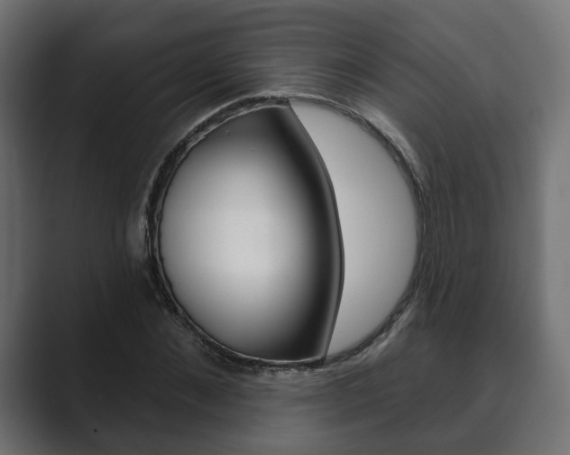 X0000089900876200706281133