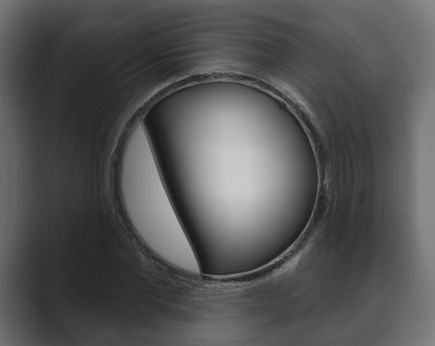 X0000089900877200706281133