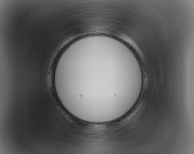 X0000089900878200706281133